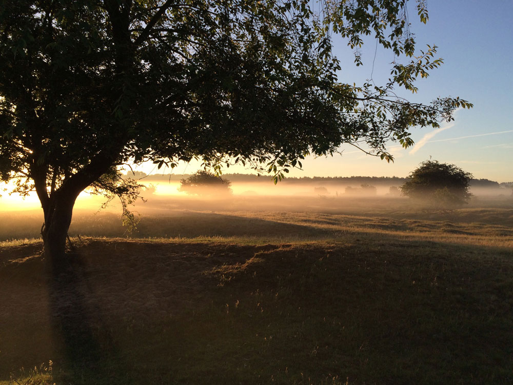 &copy;Britta Heine